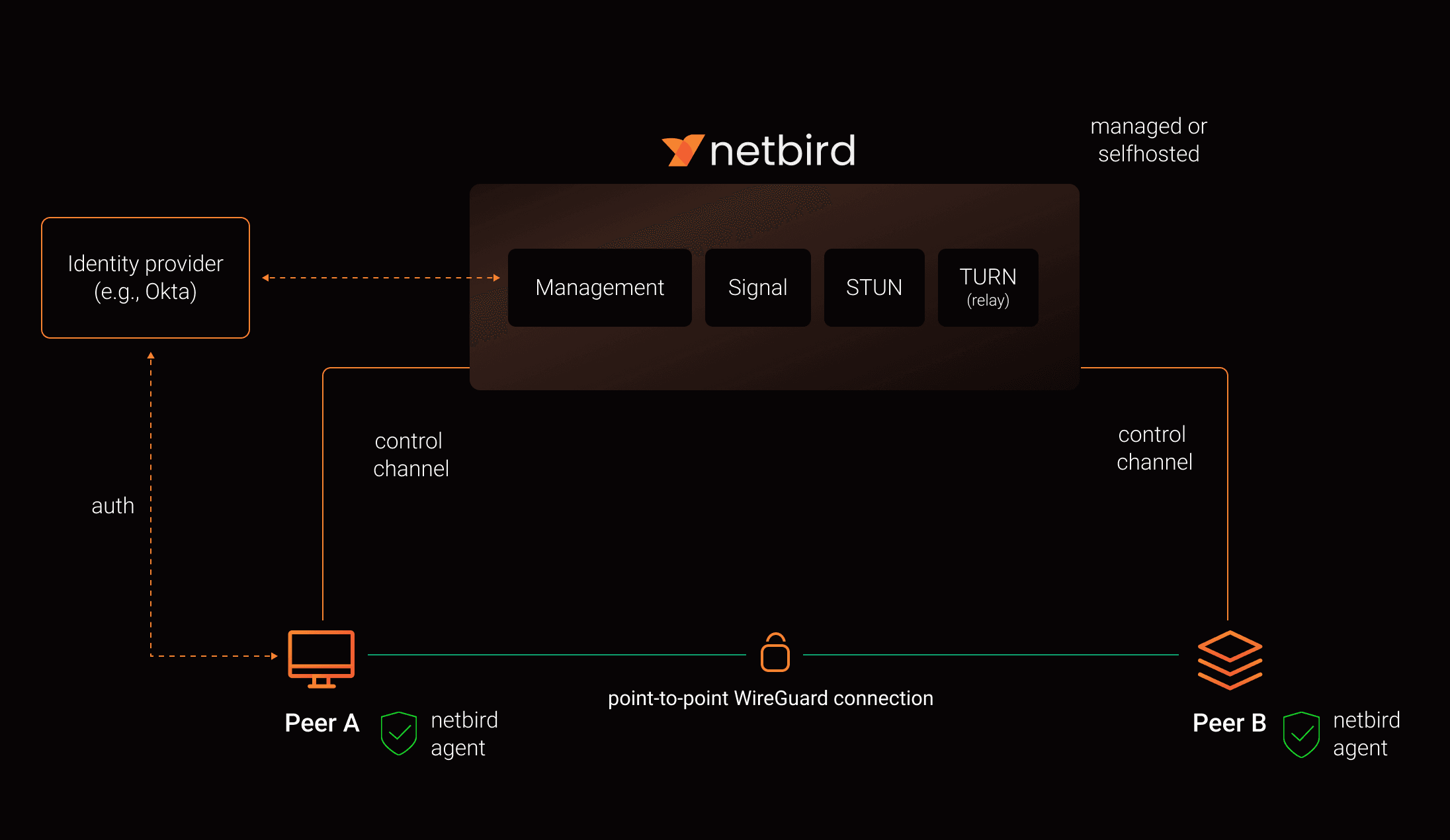 Schema architettura NetBird per accesso remoto al server di casa senza aprire porte: componenti Management, Signal, Relay e Client Agent WireGuard