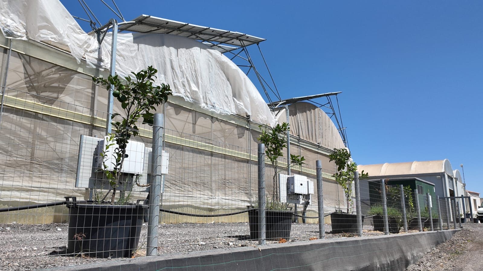 AgriTech a Comiso: IoT senza internet, AI nelle serre e 2,7 miliardi bruciati dalla siccità