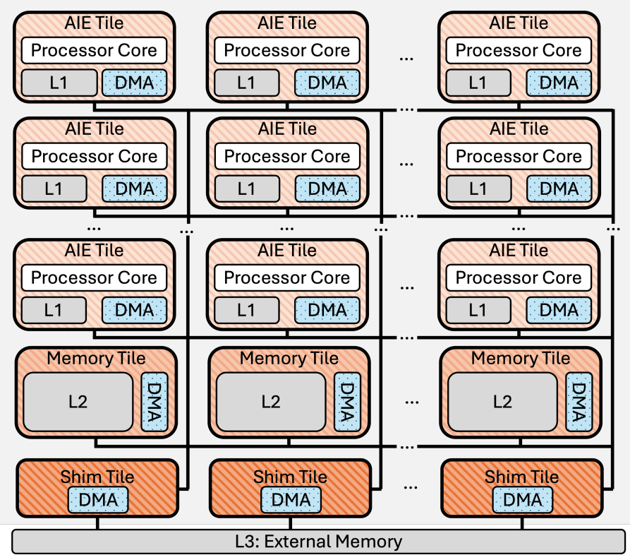 Architettura XDNA 2 AMD NPU con tiles e DMA per inference locale LLM