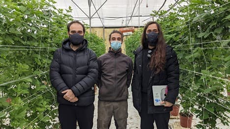 Sensore Lualtek installato in una serra per il monitoraggio ambientale