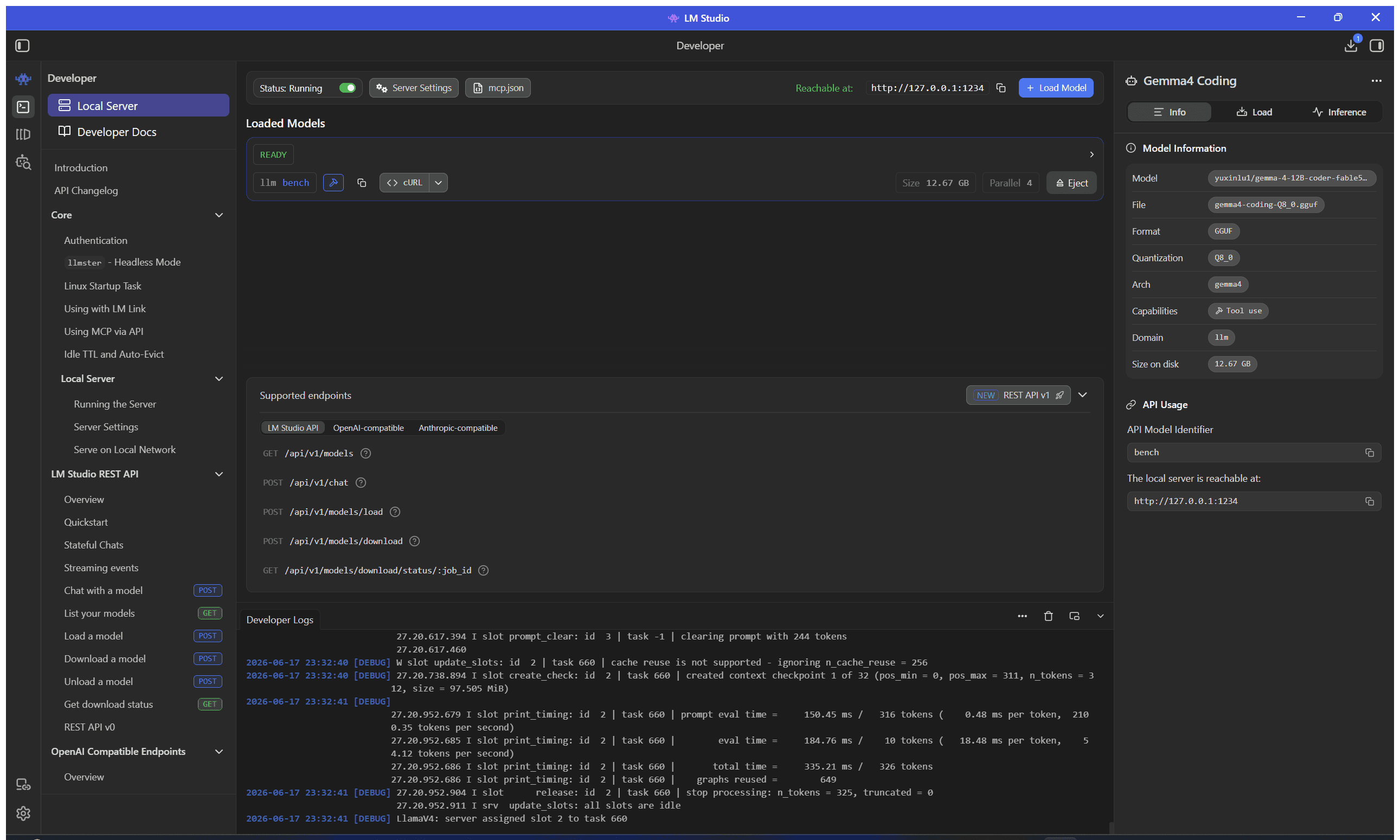 La sezione Developer: il server locale con API compatibili, pronto per le tue app