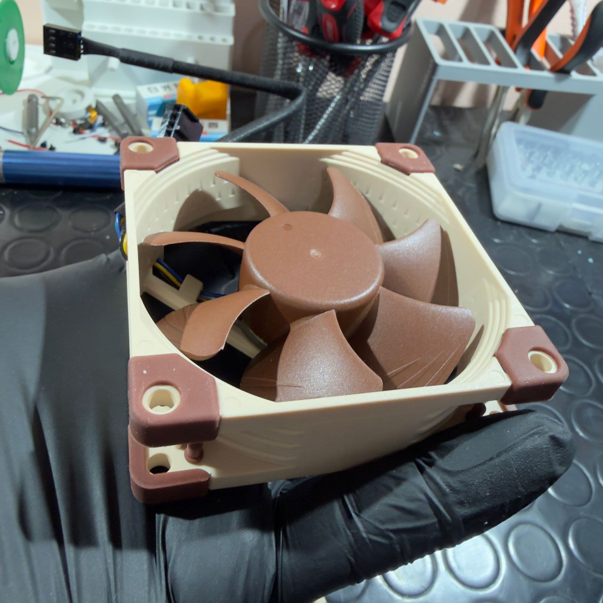 Noctua NF-A8 PWM 80mm tenuta in mano con guanto nero nel laboratorio homelab